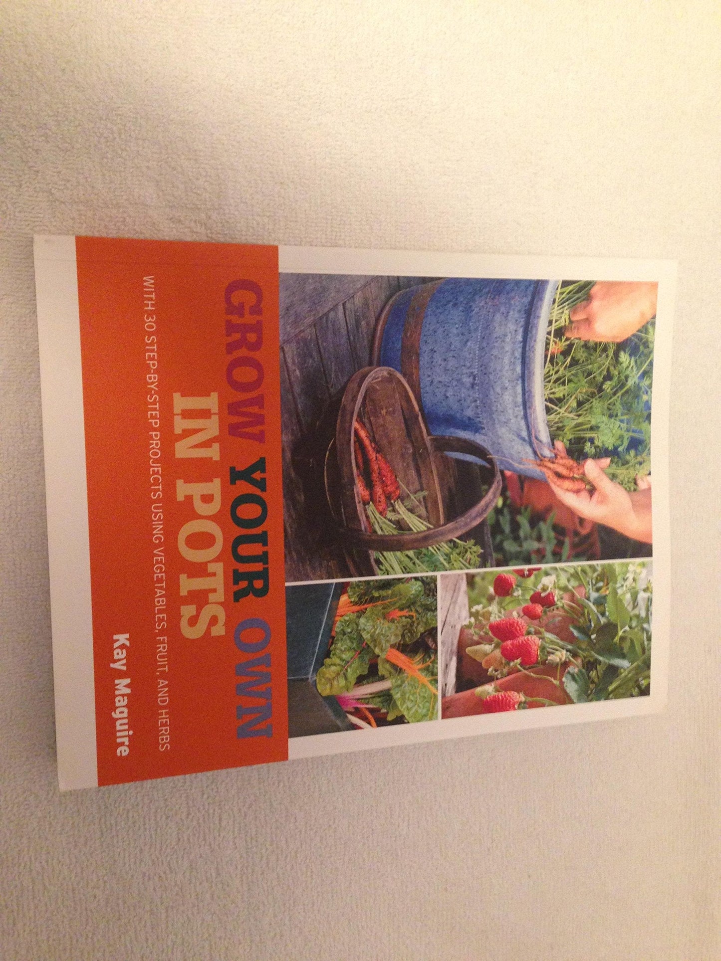 Grow Your Own in Pots by Maguire, Kay