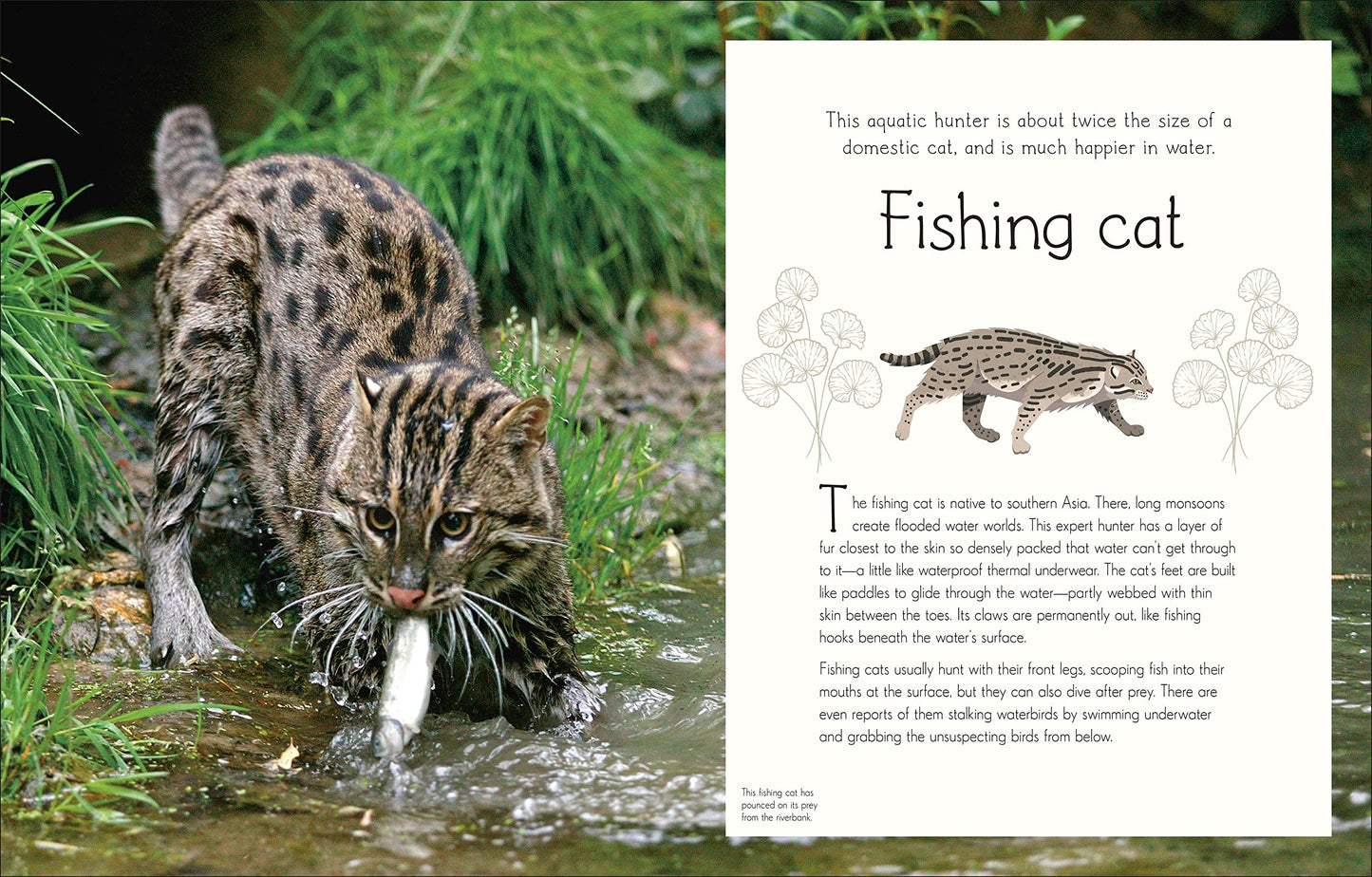 An Anthology of Aquatic Life (DK Children's Anthologies) by