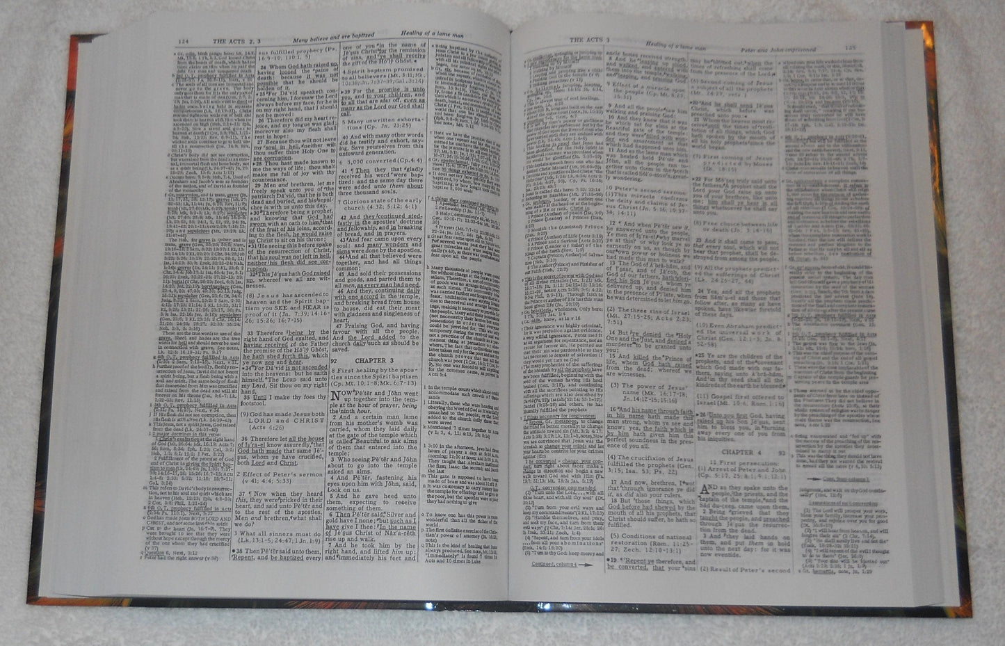 Dake Annotated Reference Bible-KJV by staff-of-dake-publishi