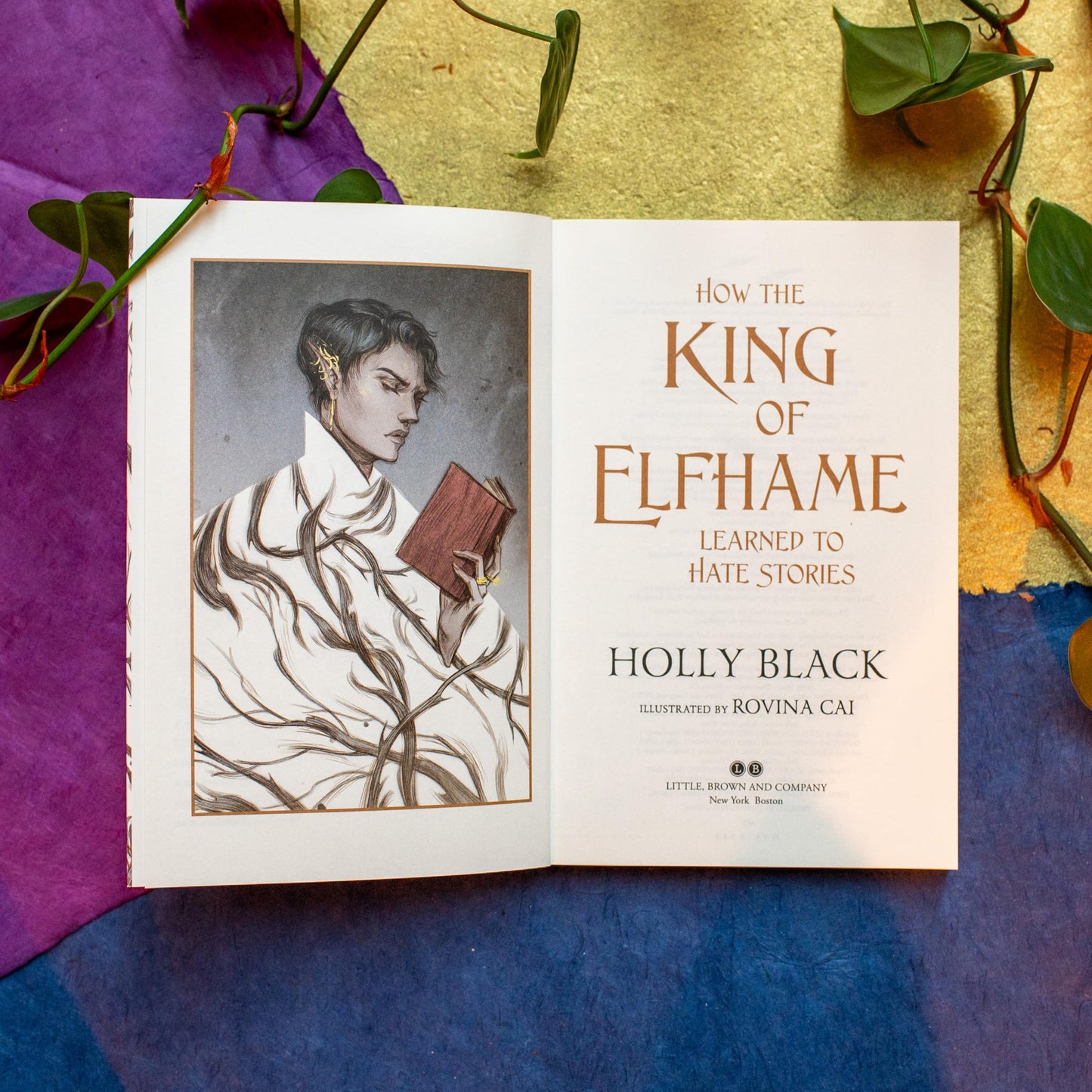 How the King of Elfhame Learned to Hate Stories (The Folk of