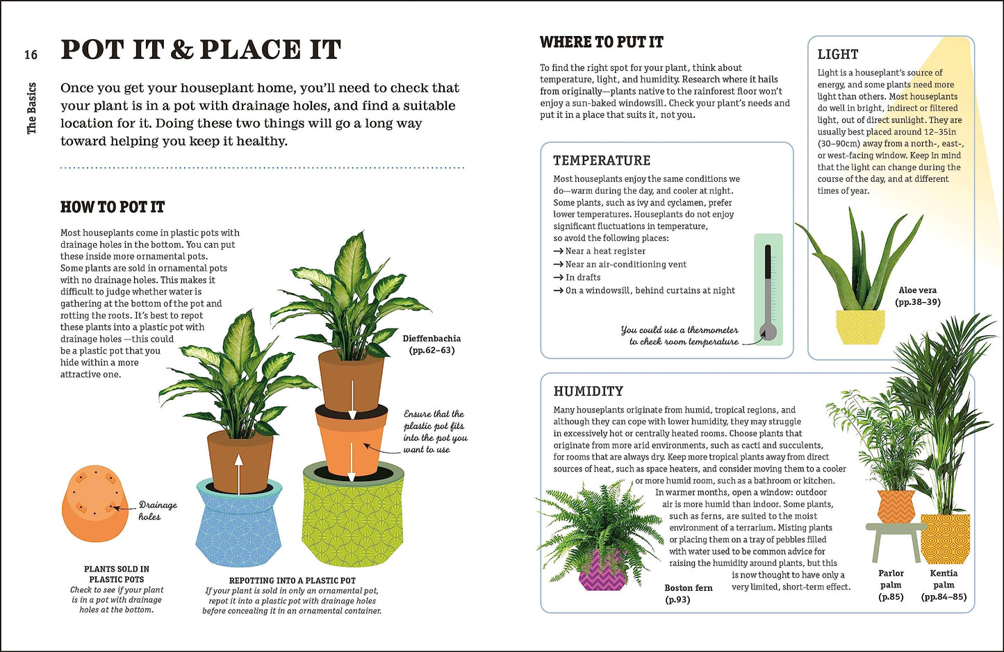 How Not to Kill Your Houseplant New Edition: Survival Tips f