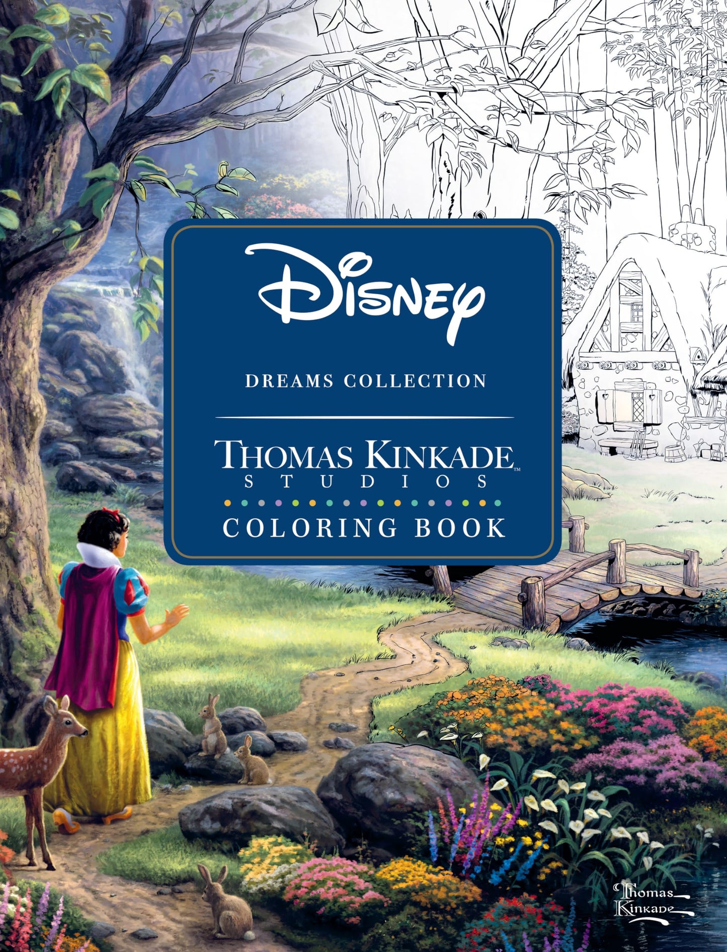 Disney Dreams Collection Thomas Kinkade Studios Coloring Boo