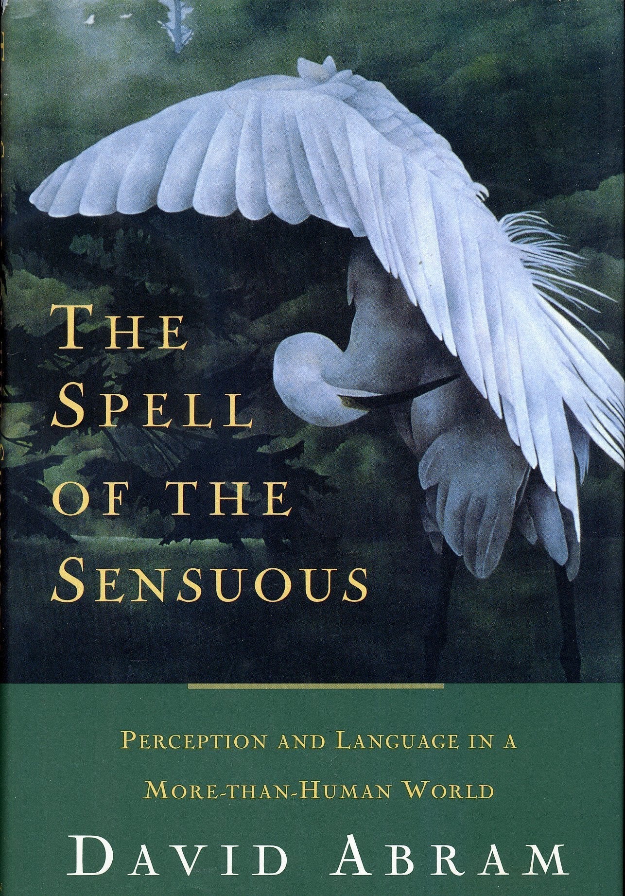 The Spell of the Sensuous: Perception and Language in a More