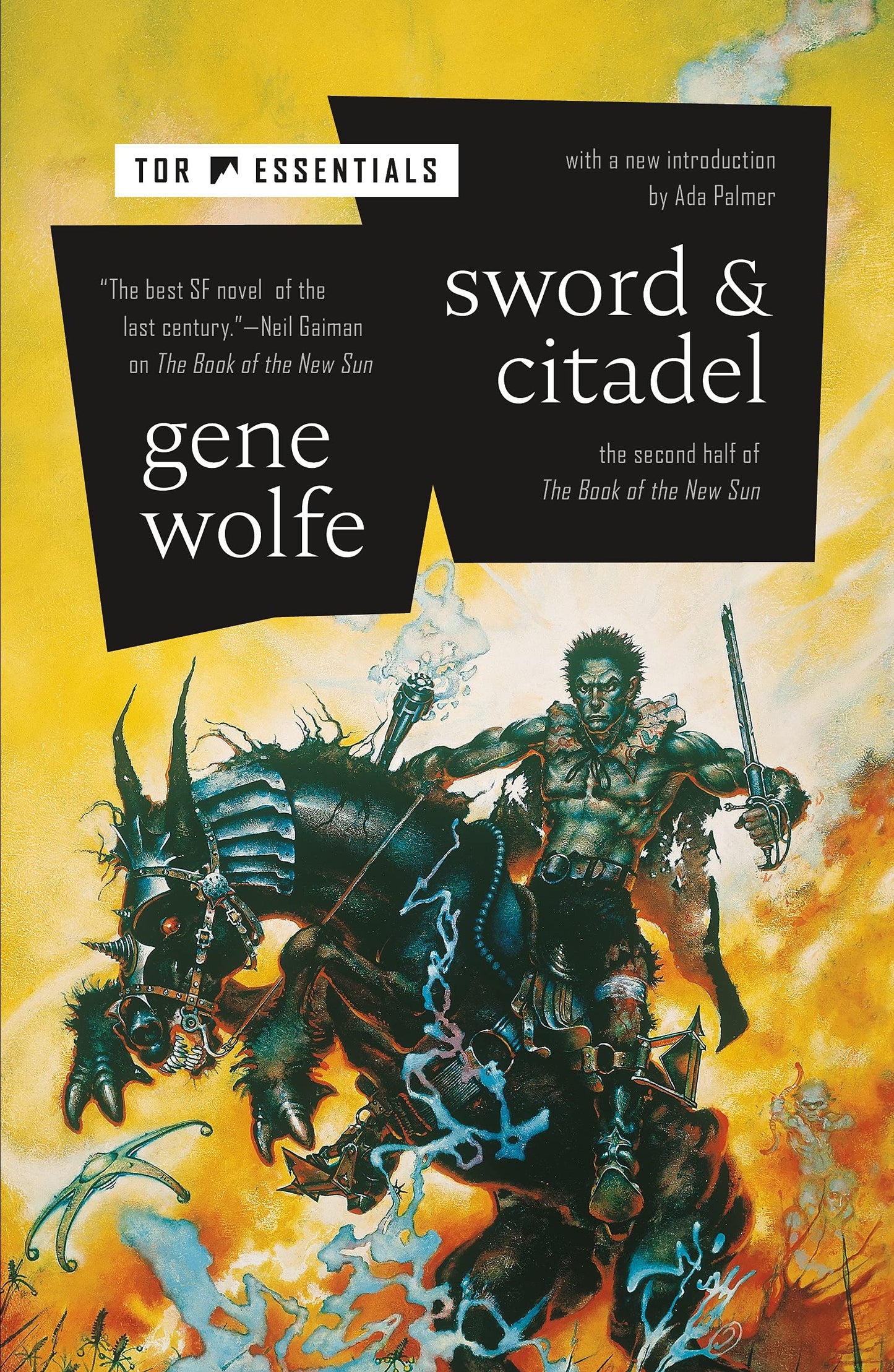 Sword & Citadel (The Book of the New Sun, 2) by Wolfe, Gene