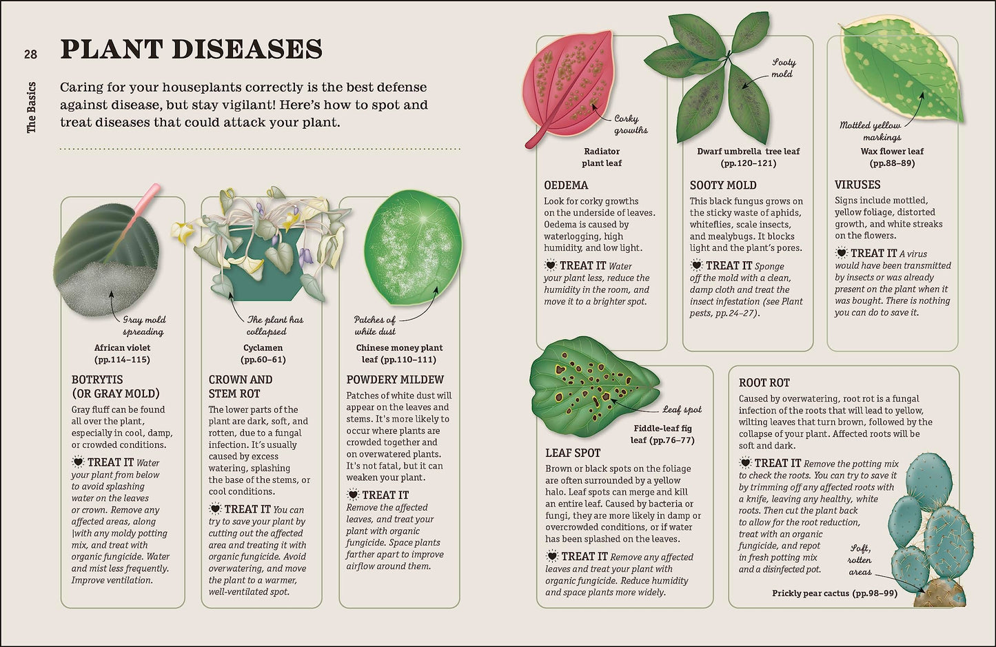 How Not to Kill Your Houseplant New Edition: Survival Tips f
