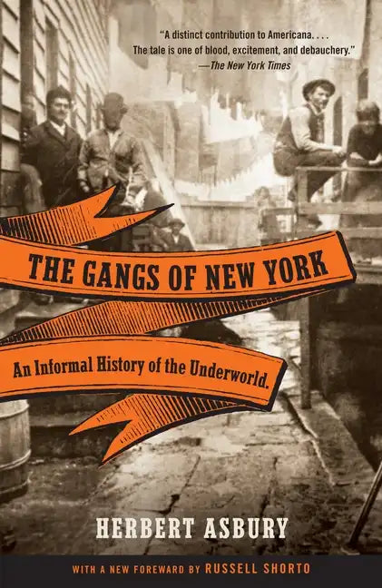 The Gangs of New York: An Informal History of the Underworld - Paperback