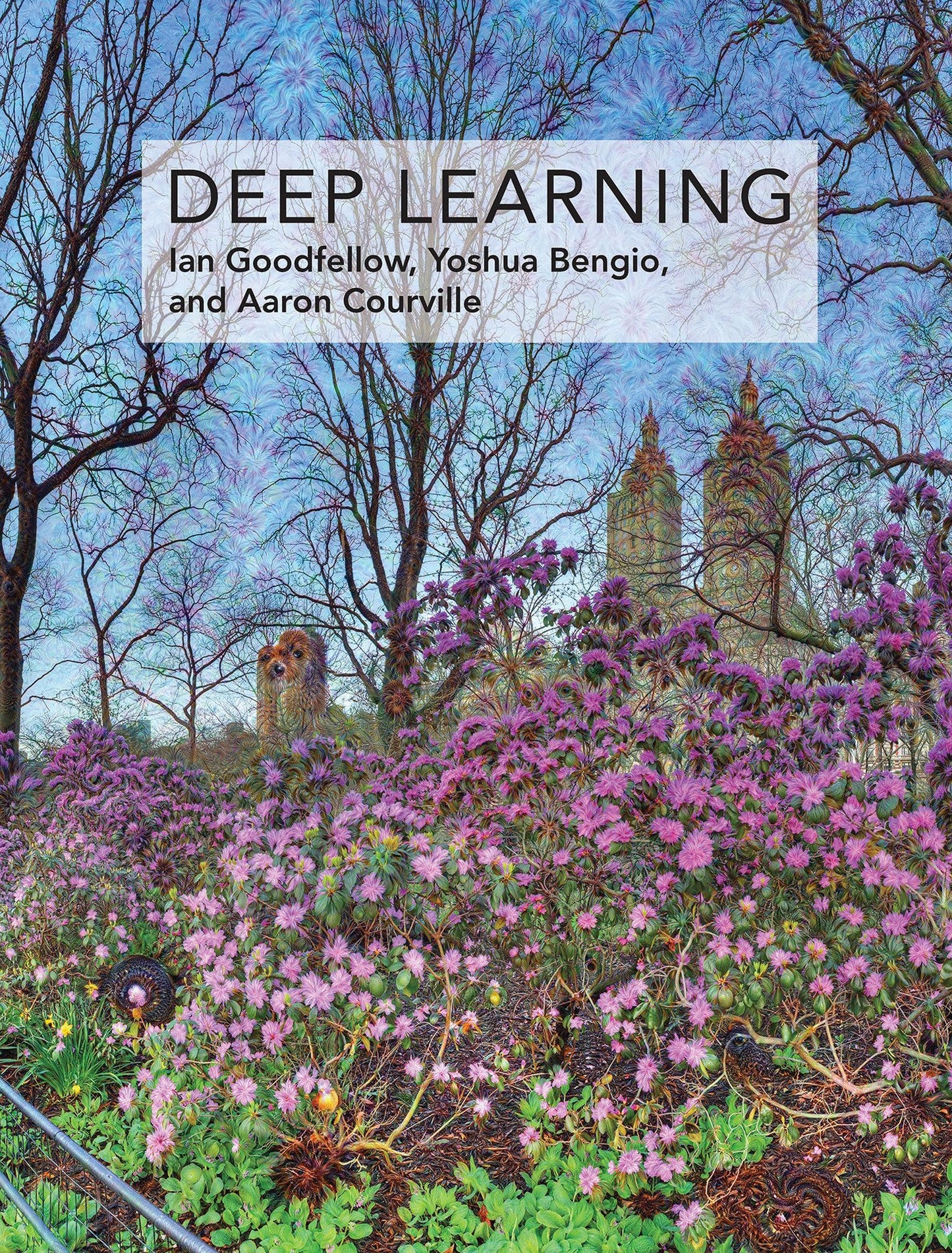 Deep Learning (Adaptive Computation and Machine Learning ser