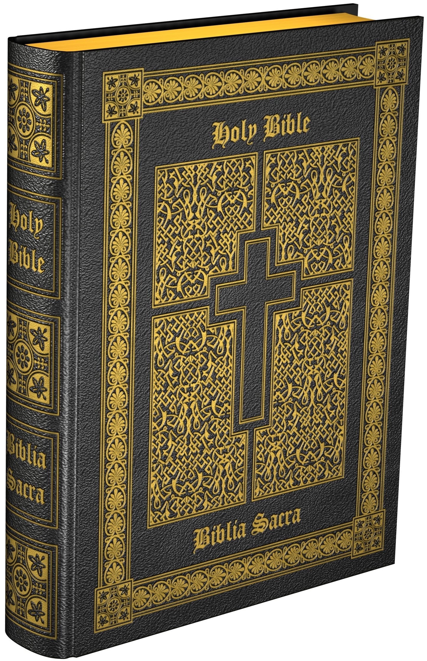 Douay-Rheims & Clementina Vulgata (English and Latin Edition