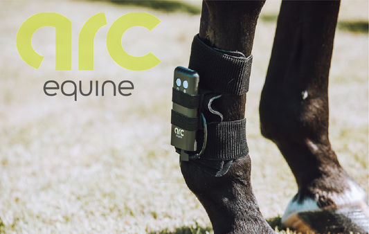 ARC Equine Therapy System Charger