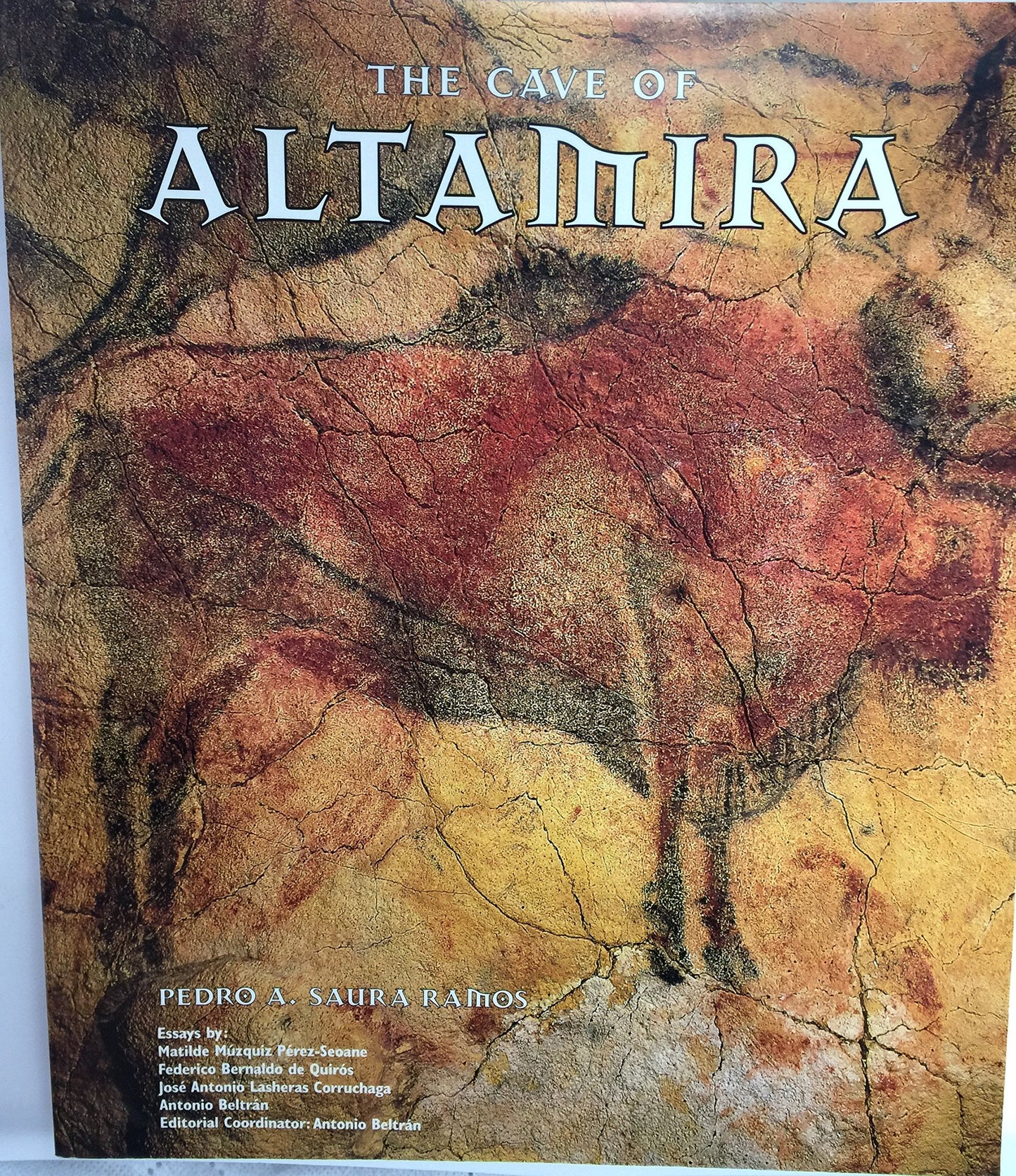 The Cave of Altamira by Matilde Muzquiz Perez-Seoane
