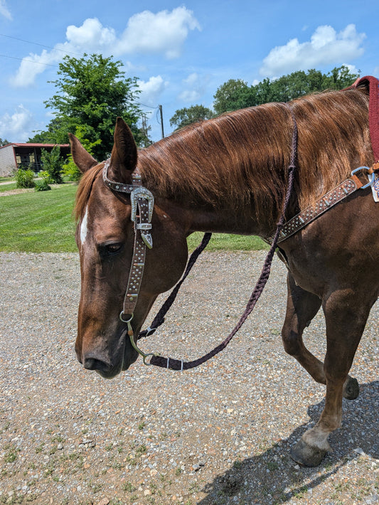 Remington Single Ear Headstall & Breast Collar Set – Crystal Accents & Bullet Conchos