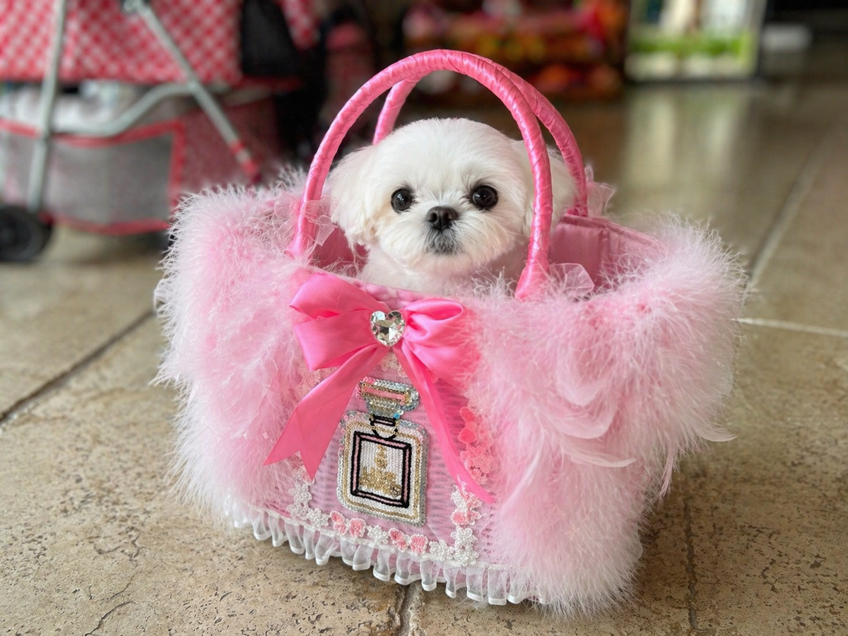 Pink Feather Wicker Pet Carrier Basket