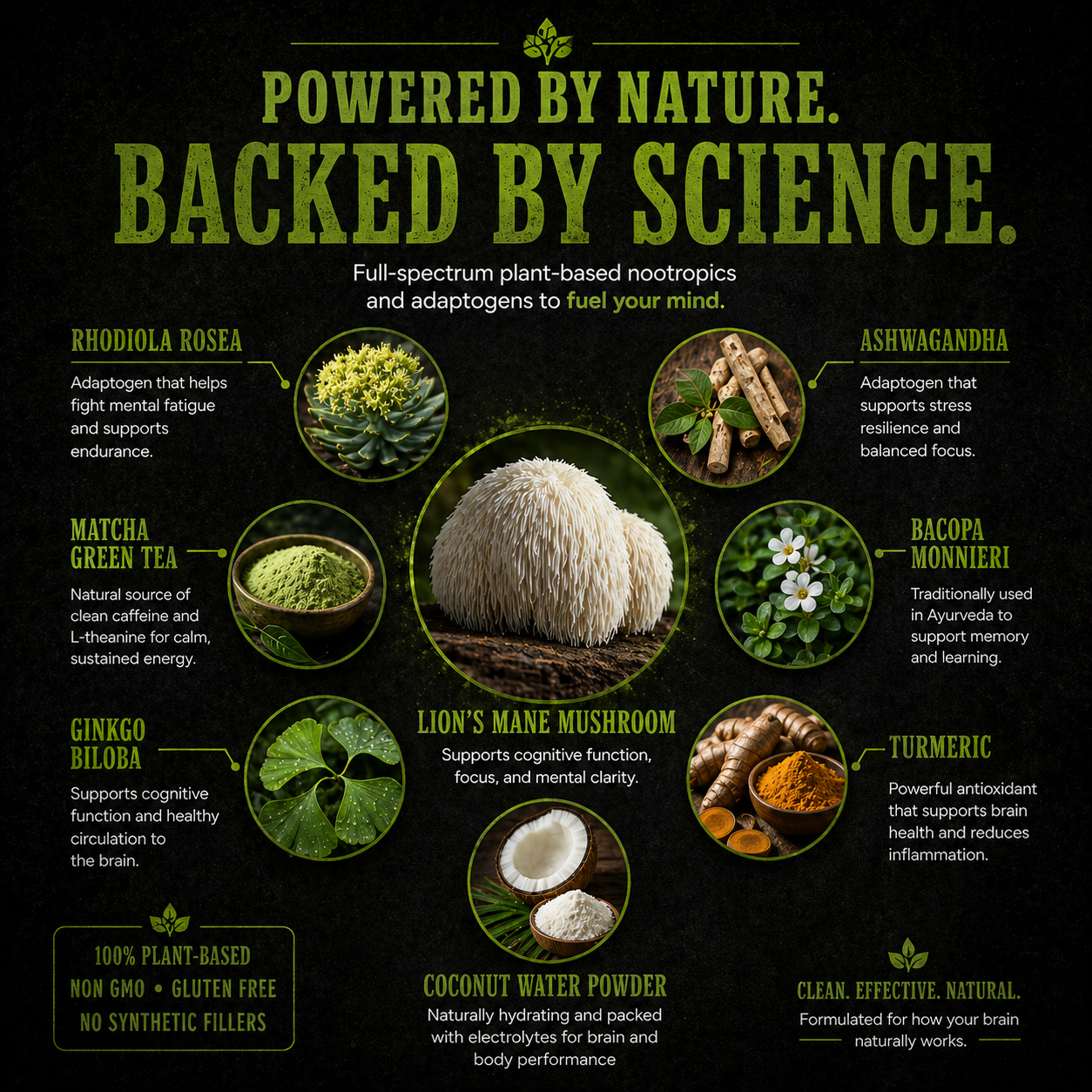 Brain Boost