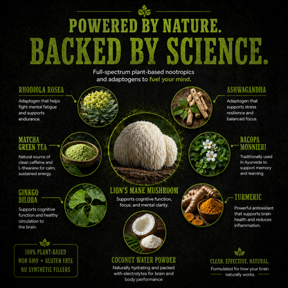 Brain Boost