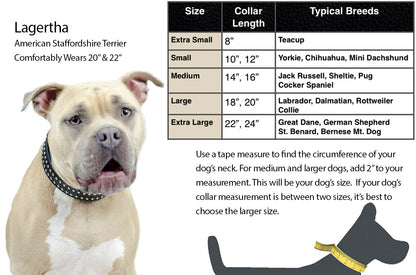 Derby Dog Designer Series Tooled USA Leather Padded Barbwire Dog Collar with Stainless Steel Rolled Buckle for Comfort