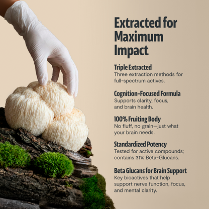Organic Lion’s Mane Mushroom Powder