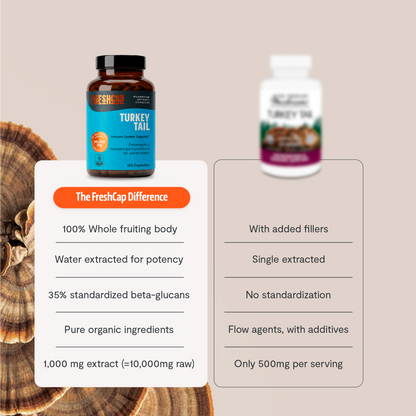 Organic Turkey Tail Mushroom Capsules