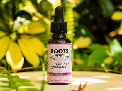 GOLDENROD HERBAL TINCTURE-1