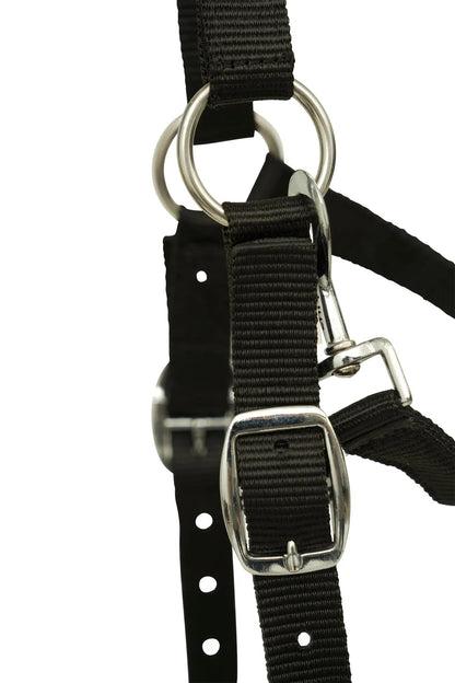Huntley Fleece Padded Nylon Grazing Muzzle, Black