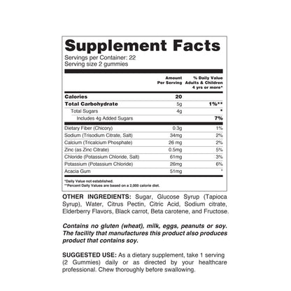 Hydration Support (Electrolytes)-1