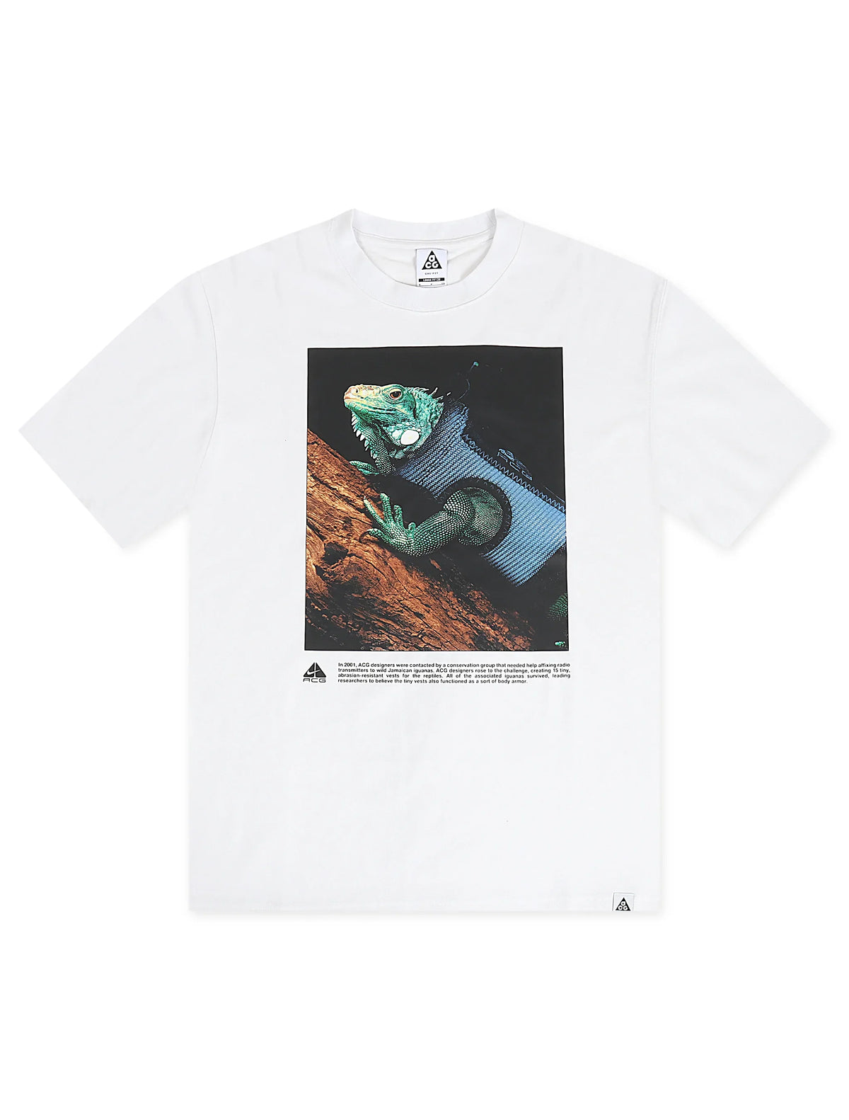 Nike Mens ACG Dri-Fit Tee - Summit White