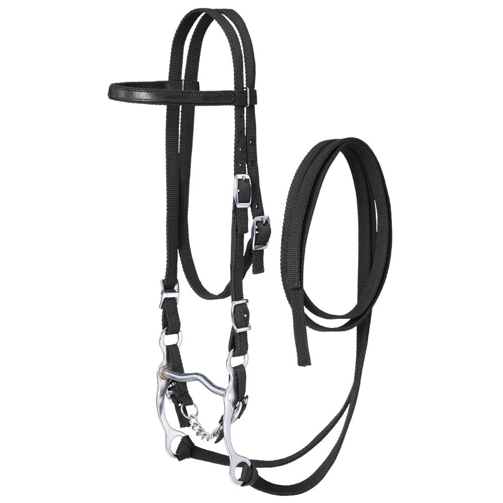 Nylon Browband Bridle