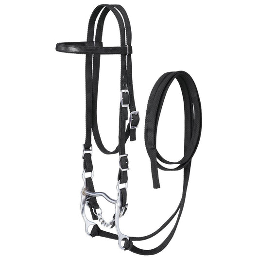 Nylon Browband Bridle