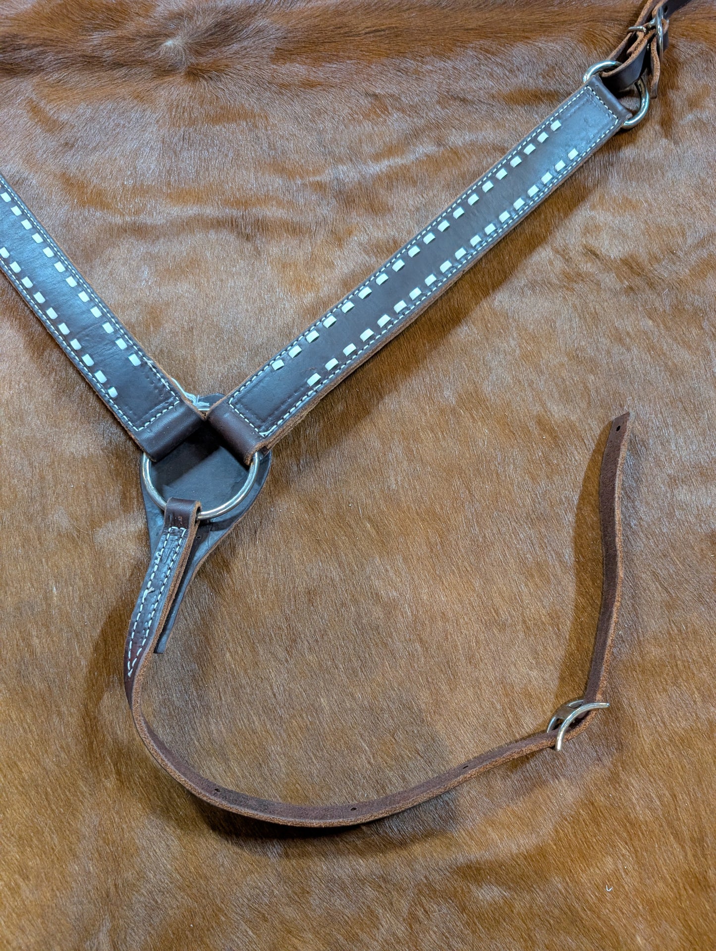 Dark Oil Breast Collar with Buckstitch