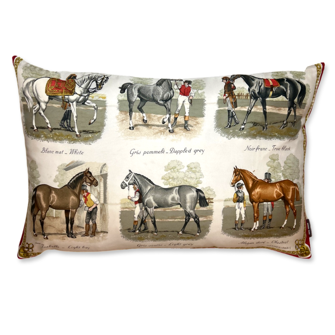 Robes Vintage Silk Scarf Lumbar Pillow 30"