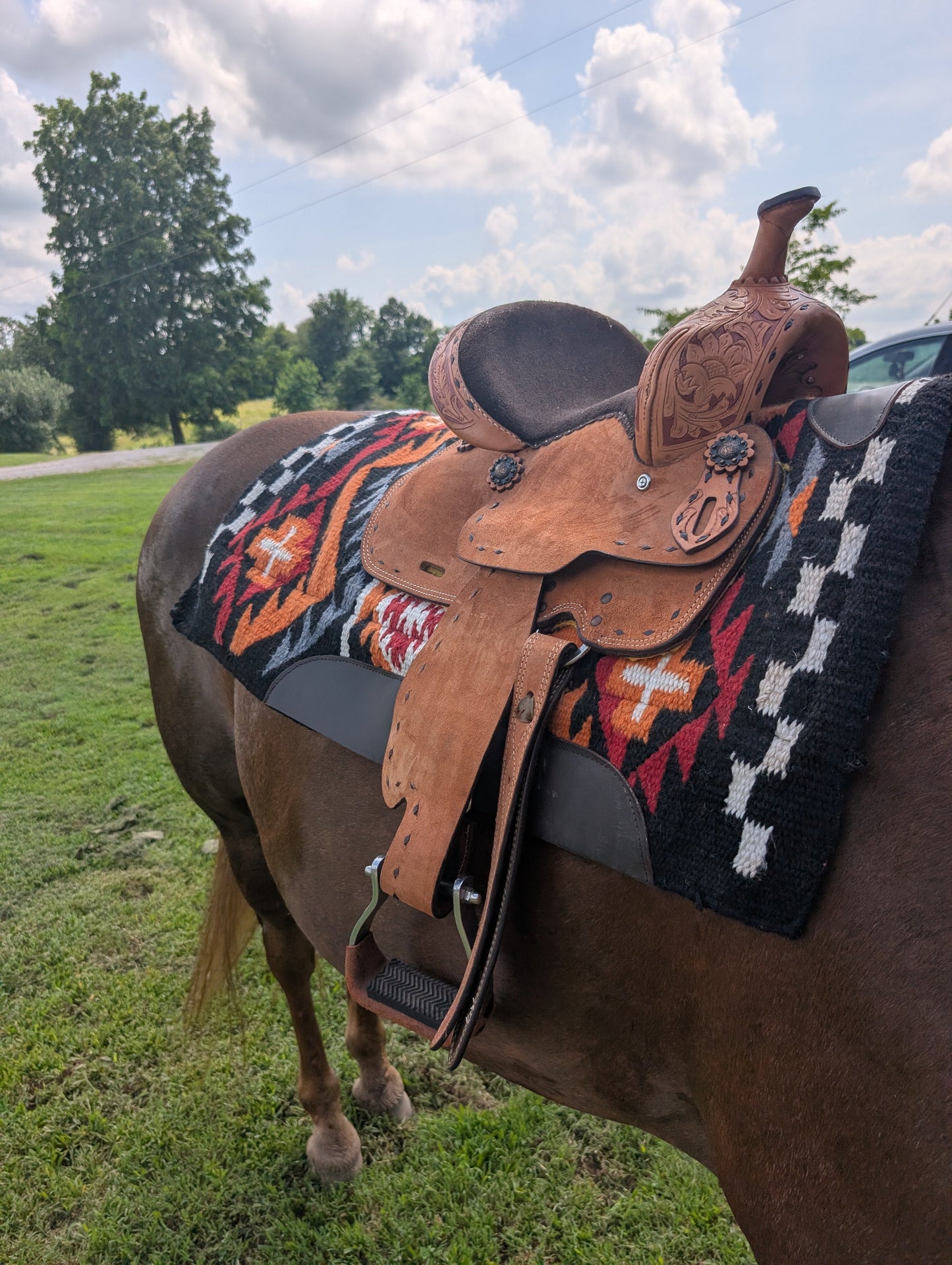 Royal King 10” Youth Reno Roughout Barrel Saddle – Built for Speed & Style