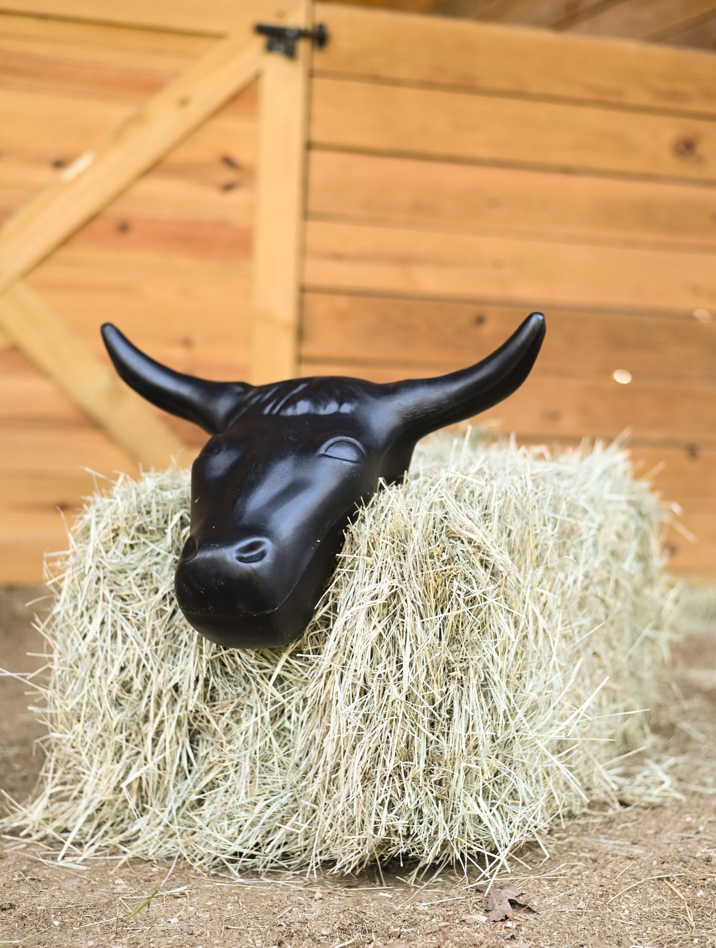 AJ Tack Adult Steer Head Roping Dummy, 20" Horn Spread