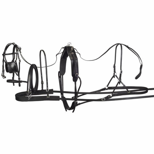 Royal King Black Leather Pony Harness – Small-Medium Fit, Show-Ready & Adjustable