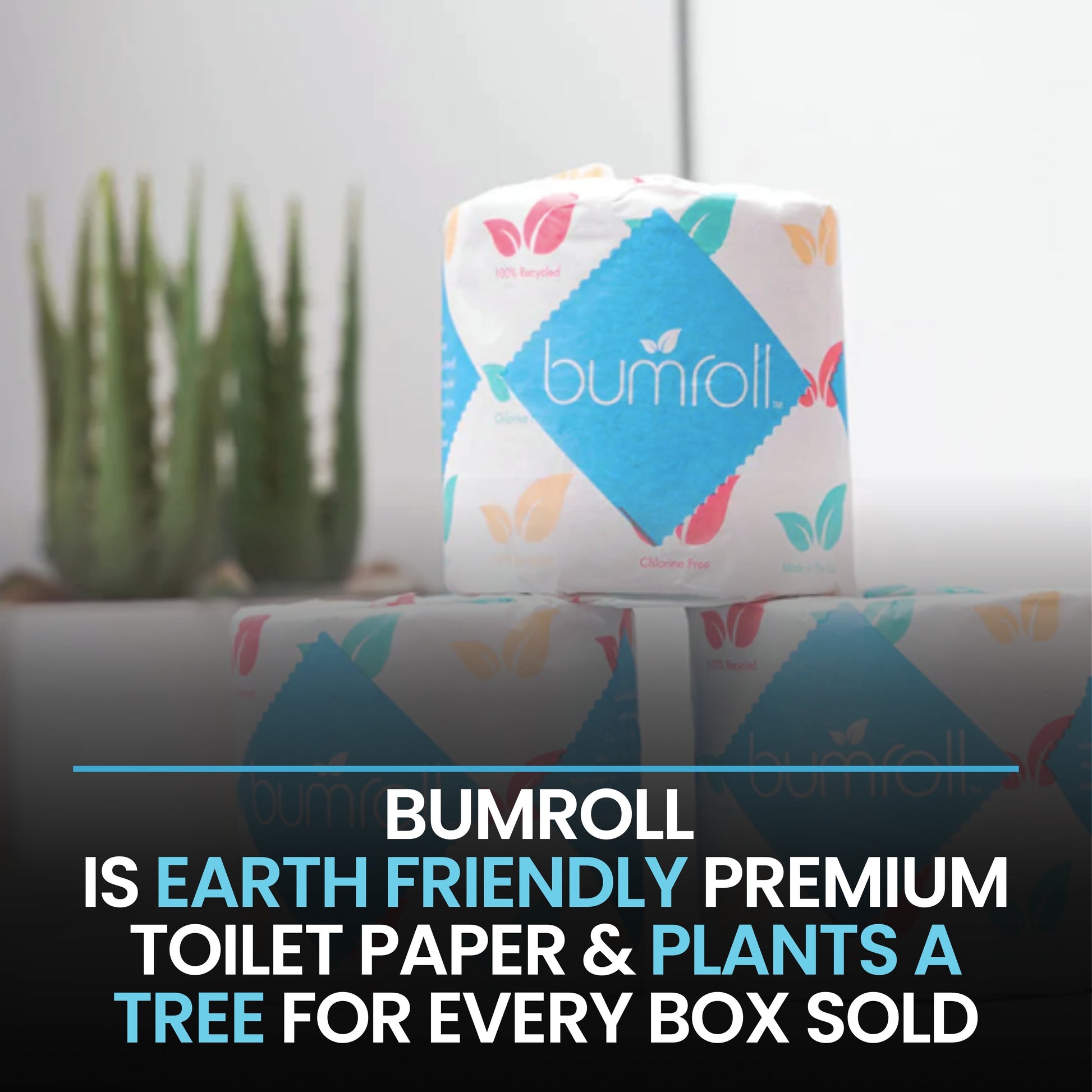 24 Recycled Toilet Rolls – Everyday Bundle-4