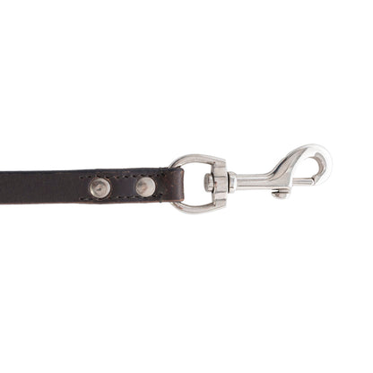 Viaje Dog Leash in Ebony