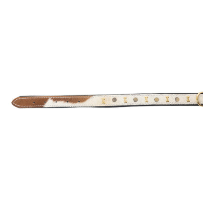 Prairie Paws Studded Hairon Dog Collar in Brown & White