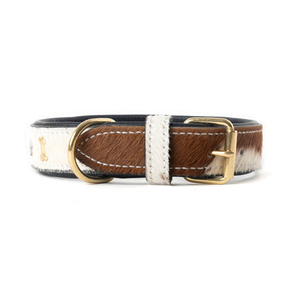 Prairie Paws Studded Hairon Dog Collar in Brown & White