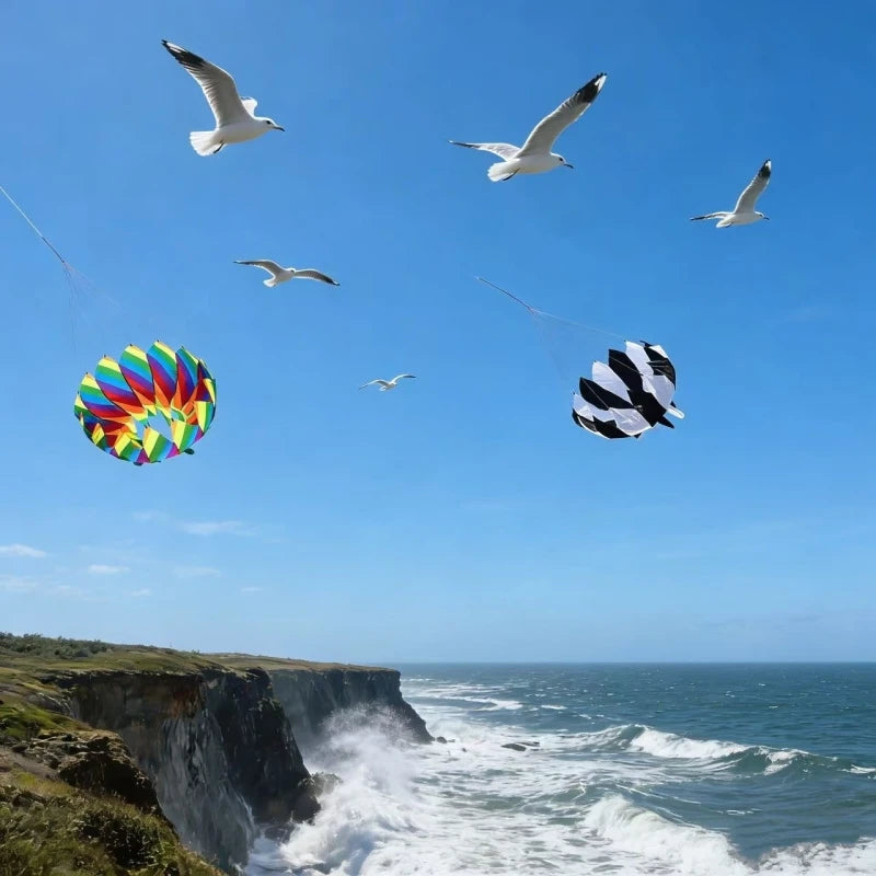 Rainbow kites windsocks nylon kite flying parachute kites wholesale
