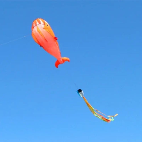 Dolphin kite flying nylon soft kite line animal kites inflatable kite