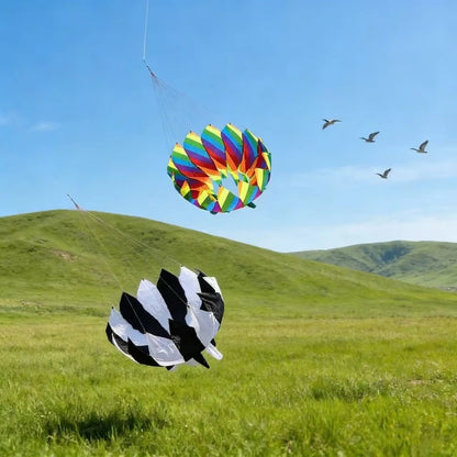 Rainbow kites windsocks nylon kite flying parachute kites wholesale
