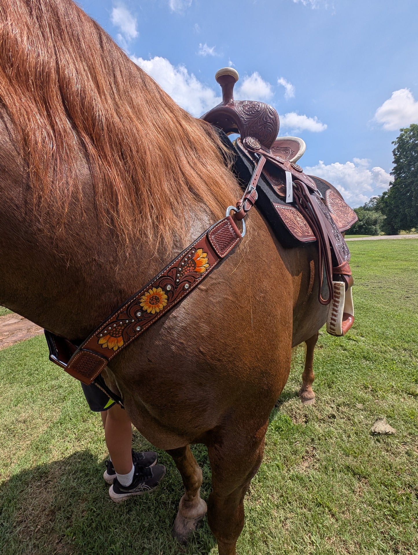 Showman Leather Breast collar with sunflowers