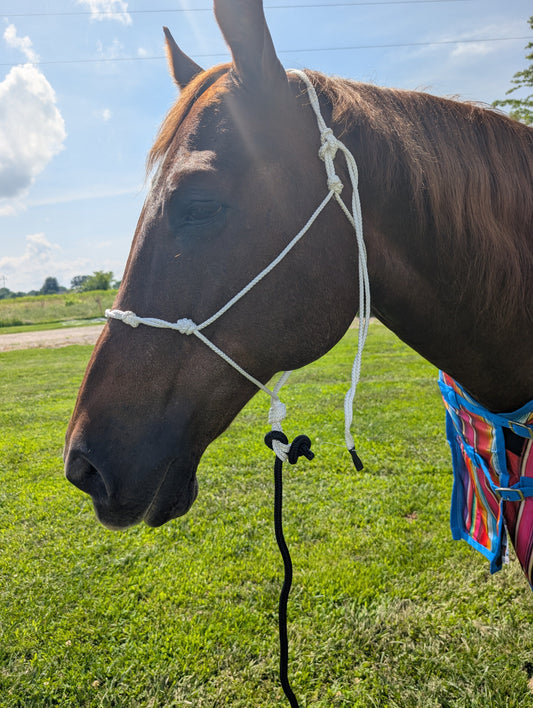 Cowboy Rope Halter