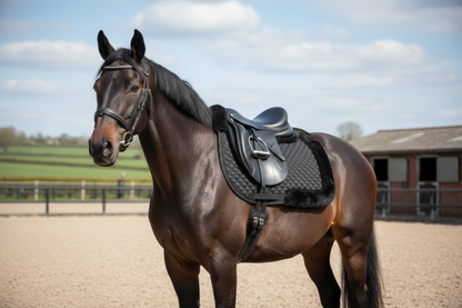 Premium Quality Ring Shape Horse  Bit Stainless Steel