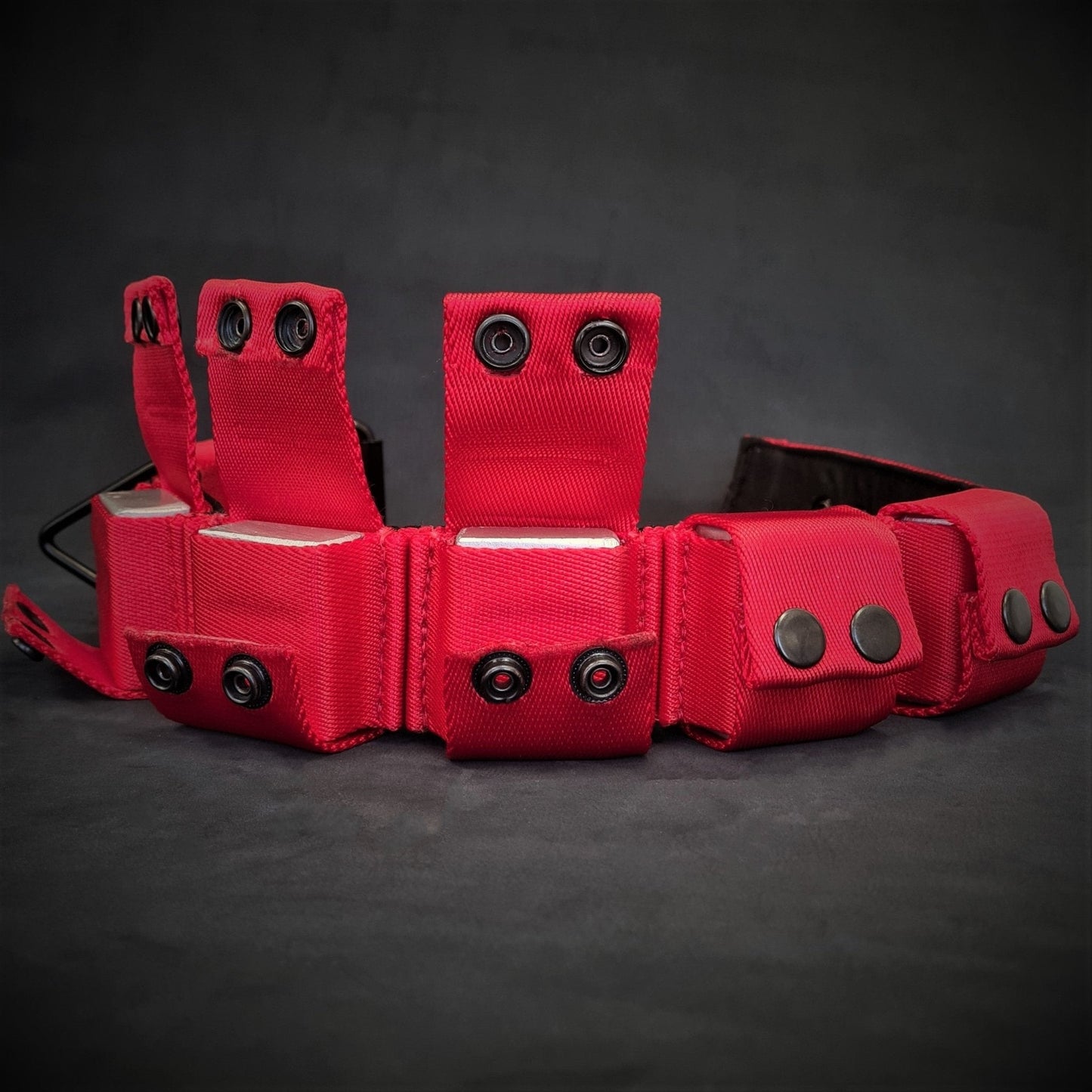 BESTIA DOG SPORT Weighted Dog Training Collar