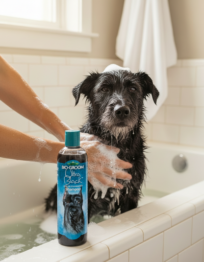 Dog - Bio Groom Ultra Black Color Enhancer Shampoo