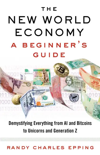 The New World Economy: A Beginner's Guide - Paperback