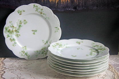 Limoges Elite Set of Five Bread, Salad, 8.75 inch Plates with Pink Roses and Scalloped Rim.  Antique Limoges Dishes.