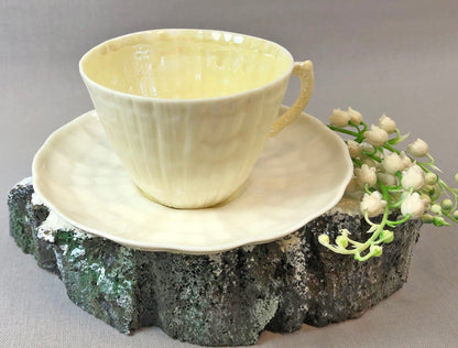 Antique Belleek Cup and Saucer, Sea Shell Pattern Porcelain Tea Set