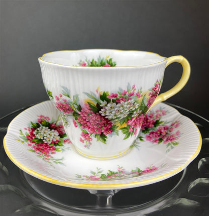 Vintage Royal Albert Cup and Saucer - Blossom Time Series, Hawthorn