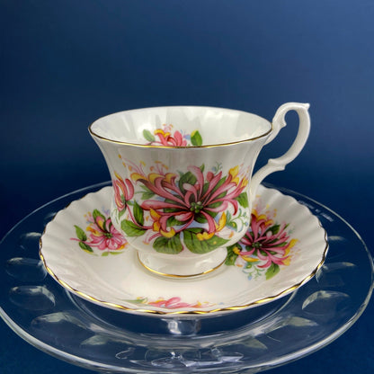 Royal Albert Prudence Teacup and Saucer: Dainty Dina Series, Fine Bone China