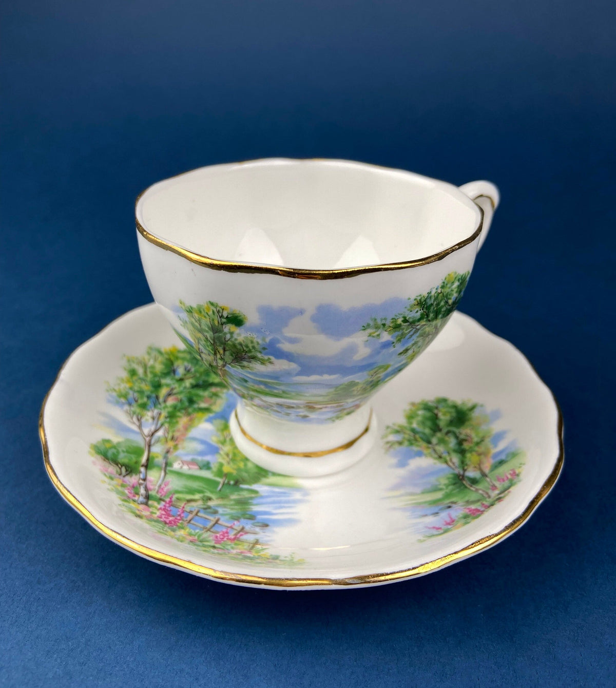 Vintage Colclough Fine Bone China Tea Cup and Saucer, Hand Painted Pastoral Scene